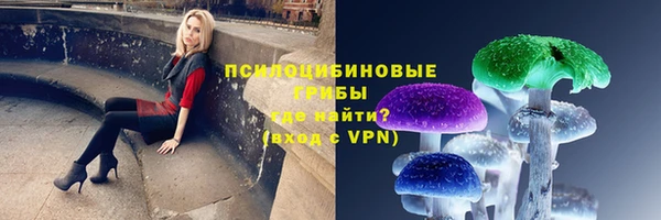 кокс Дмитров