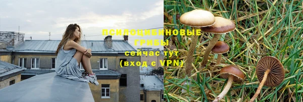 круглые Дмитровск