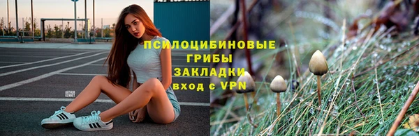 кокс Дмитров