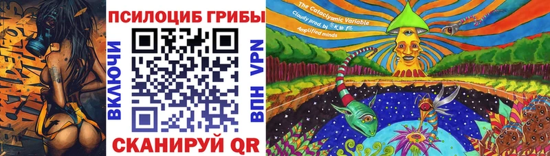 Галлюциногенные грибы Cubensis  Купить закладки  Новая Ляля 